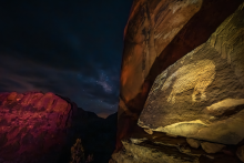 Mark DiOrio. Bear, Shay Canyon, Utah, 2024. Digital Print.